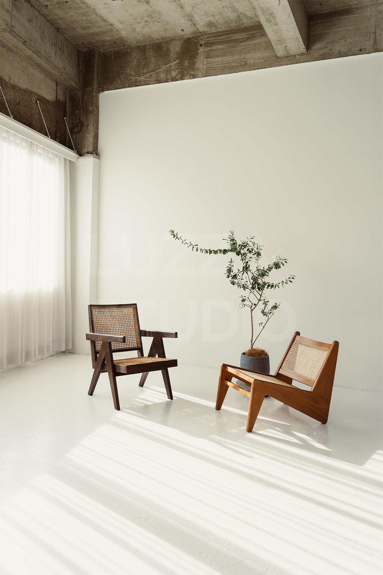 ラズスタジオの白コンクリート床の空間にPierre Jeanneret、カンガルーチェアと観葉植物を配置したシチュエーション。アパレルやモデル撮影のほか、インタビュー撮影にもおすすめの空間ディレクション