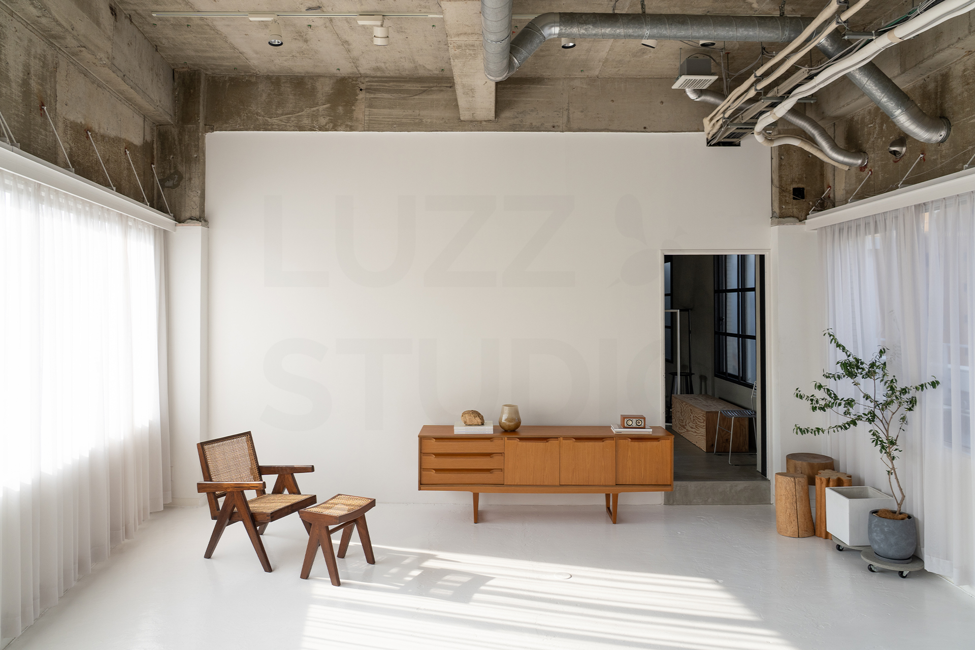 20260601-luzz-1